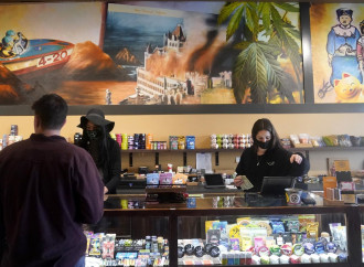Inganno Cannabis: "Rete vendita pronta sulla pelle dei ragazzi"