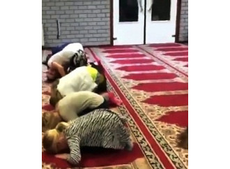 Olandesine pregano Allah: la sottomissione è servita