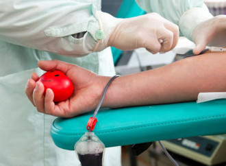 Australia: più facile donare il sangue per i gay