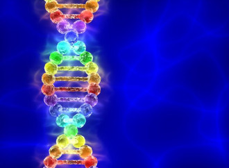 Gay e genetica: la scienza mette le cose a posto