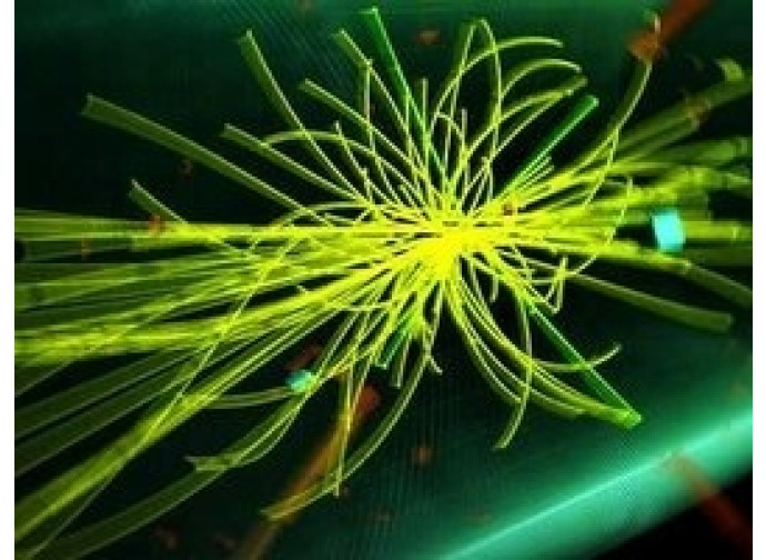 Il Bosone di Higgs
