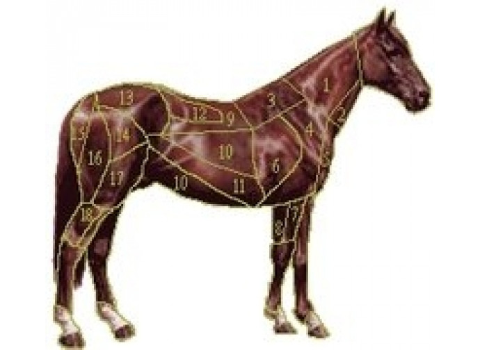 Horsegate
