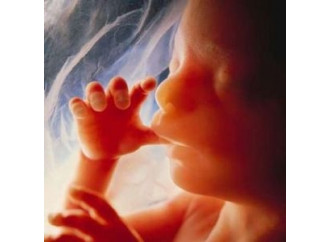 In difesa
dei diritti
degli embrioni