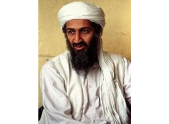 La stizza di bin Laden