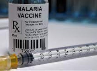 In Africa la malaria uccide più del Covid-19