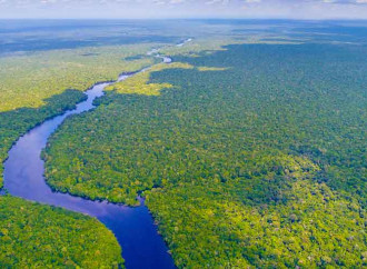 Querida Amazonia, ma senza Dottrina sociale