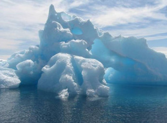 I ghiacci artici sopravvivono a caldo e fake news