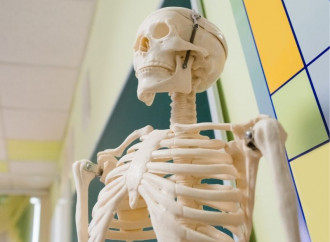 Gli scheletri delle persone LGBT