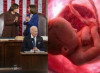 Aborti e ricerca, 88 milioni da Biden. E sui nati vivi…