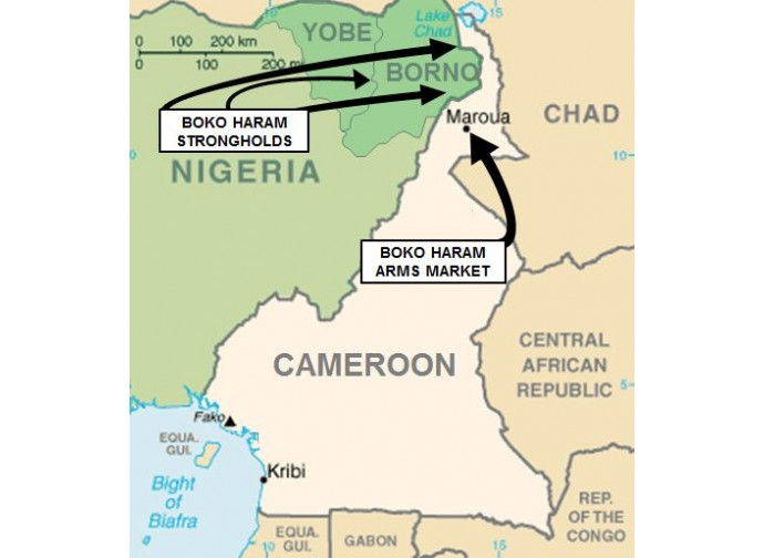 Boko Haram e il Camerun