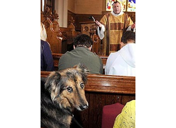Cane in chiesa