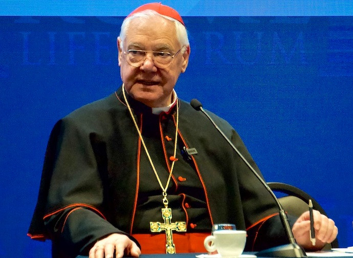 Il cardinale Muller al Roma Life Forum