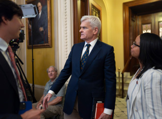 Bill Cassidy (AP)
