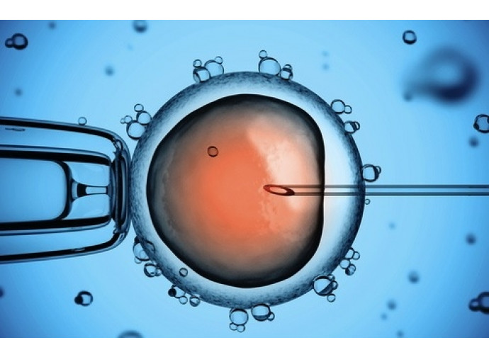 Fecondazione degli ovuli in laboratorio