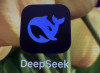 DeepSeek, l'intelligenza artificiale cinese che fa tremare l'America