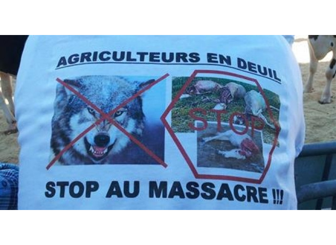 Protesta dei pastori francesi a Gap