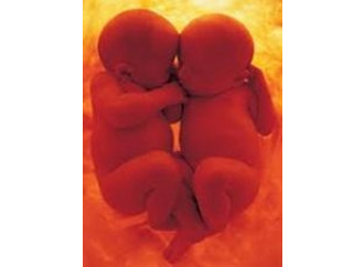 La prima carezza tra gemelli 
è già nell'utero