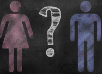 Irlanda. La scuola cattolica ferma il transgenderismo di Stato