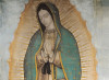 Madonna di Guadalupe, sulla tilma un’armonia celeste