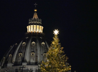 No all'abete in Vaticano. Ecologisti in nome del Papa