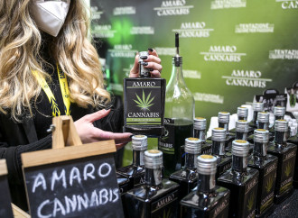 «Stop alla cannabis light, era un cavallo di Troia per le droghe»