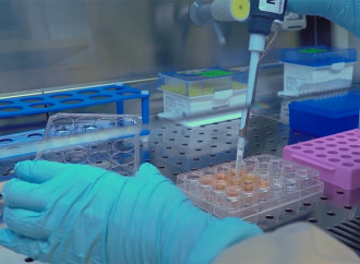 Modificare i geni per un figlio perfetto. Una tecnica, mille problemi