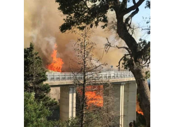Incendio in provincia di Catanzaro
