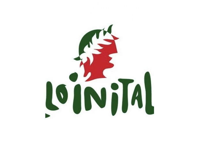 Il logo di #dilloinitaliano
