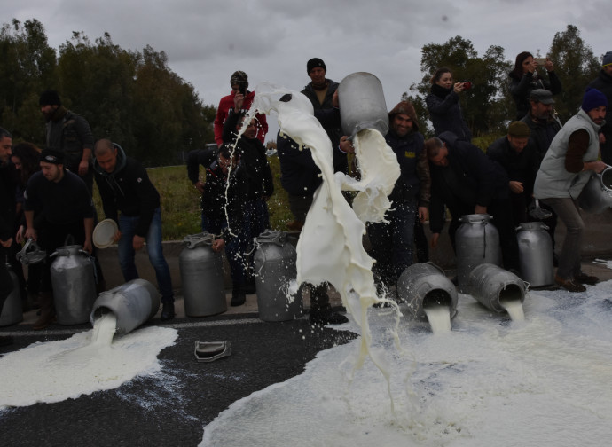 La protesta dei pastori contro il prezzo del latte