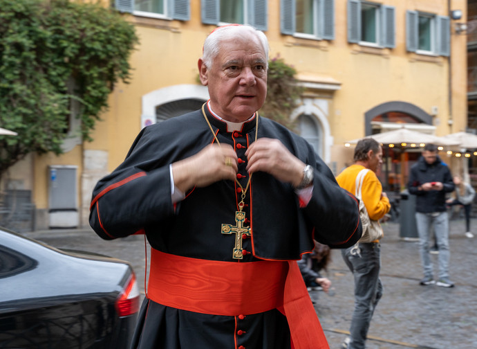 Il cardinale Muller