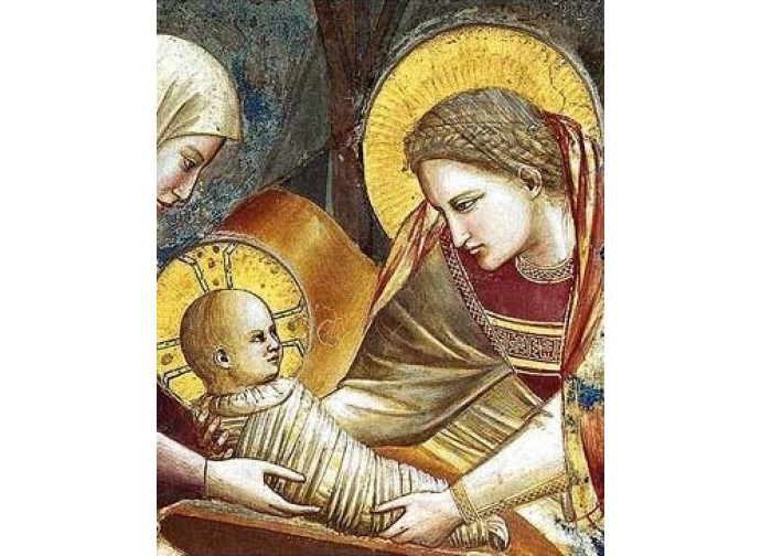 Natività Giotto