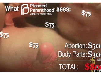 Bimbi abortiti e fatti a pezzi per vendere gli organi 