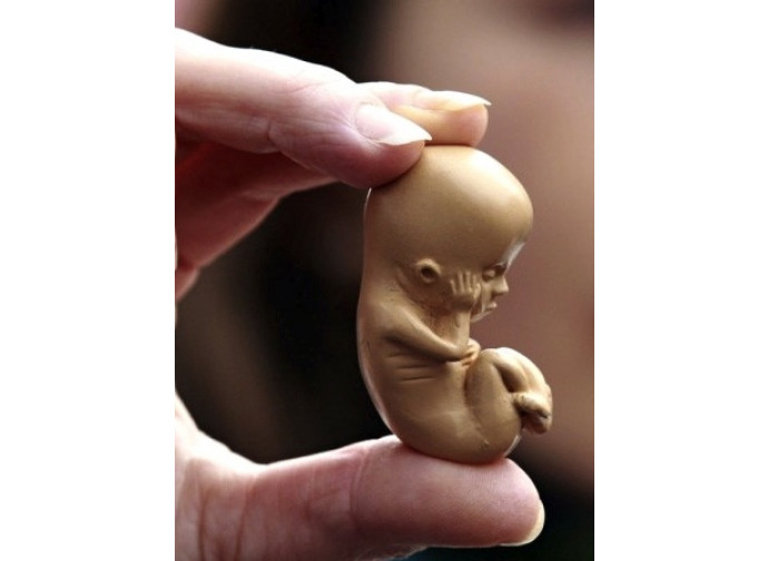 La modifica dell'embrione apre la via all'eugenetica