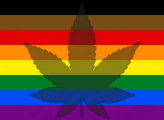 Cannabis e black queer