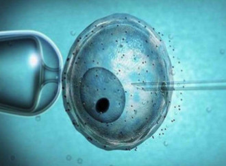 Se Vatican News sdogana la fecondazione artificiale