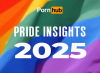 Report sul porno gay