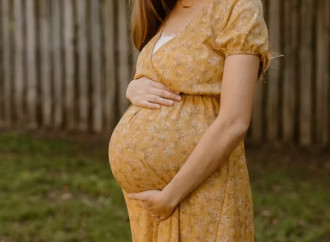 Utero in affitto, lettera all'ONU