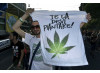 Sciocchezze, bugie e tossiche cortine di fumo 
di quelli che vogliono liberalizzare la cannabis
