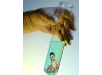 L’ecatombre degli embrioni: in un anno uccisi 174.194
