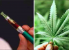 Il Cdc Usa lancia il pericolo della cannabis "elettronica"