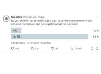 Il Sinodo non piace. E il sondaggio sparisce dai social