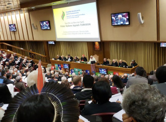 La contraddizione più evidente del Sinodo sull’Amazzonia