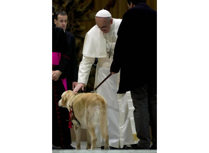 Il Papa accarezza un cane
