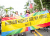 Amnesty arcobaleno