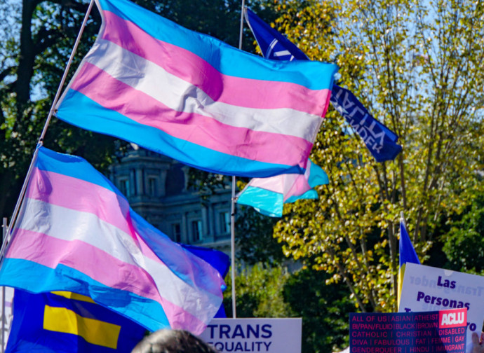 Bandiere transgender