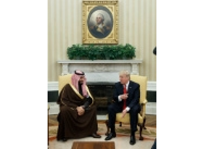 Trump con il ministro della difesa saudita