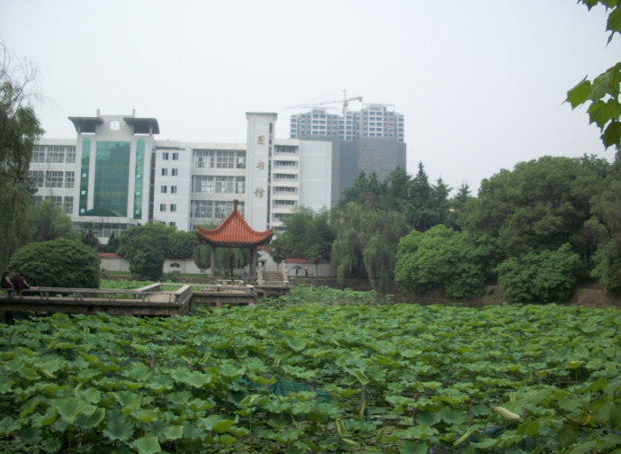 L'Istituto per la Tecnologia di Wuhan